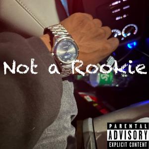 Not a rookie (Explicit)
