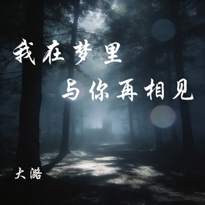 大潞 - 我在梦里与你再相见 (伴奏)