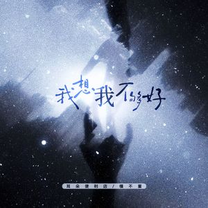 我想我不够好