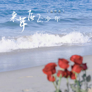 来年后2：少年封面