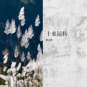 林义翔 - 经典爱情 (闽东语)