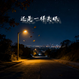 还是一样失眠 (氛围版) - 灵感菇封面
