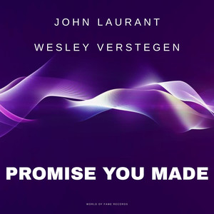 Promise You Made (Radio Edit)