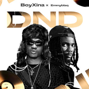 DND (feat. Emmyblaq)