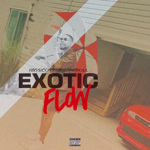 Exotic Flow (Explicit)