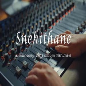 Snehithane (Malayalam Friendship Song)