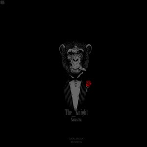 The Knight (Original Mix)