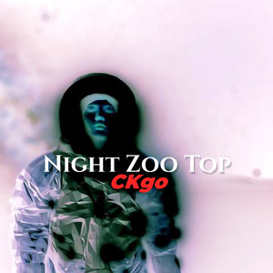 Night Zoo Top