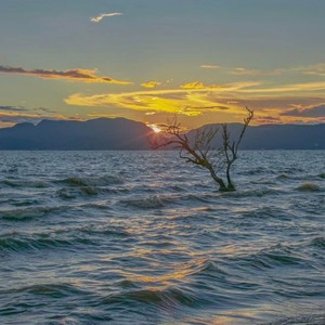 浪花旅行