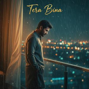 Tere Bina