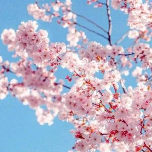 Ça Ira : (feat. PRPL) (Explicit)