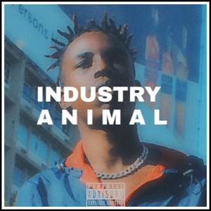 Industry Animal