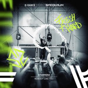 Nobody Like You (Extended Mix)