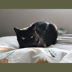 承诺是个坏女孩