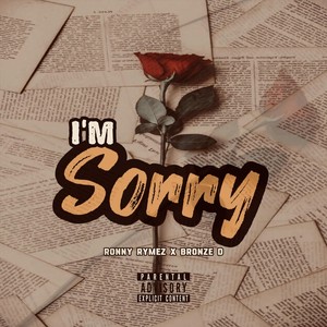 I’m Sorry (Explicit)