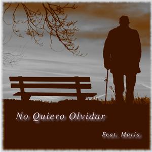 No Quiero Olvidar