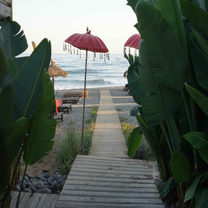 Day at the Beach