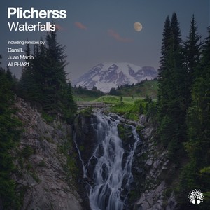 Waterfalls (Cami'L Remix)