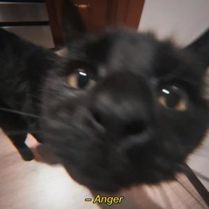 Anger >: ( (Explicit)