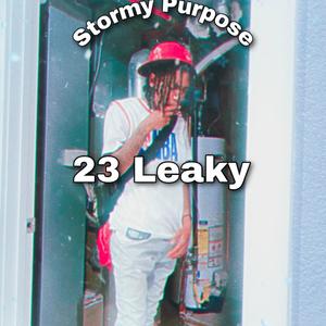 Stormy Purpose (Explicit)