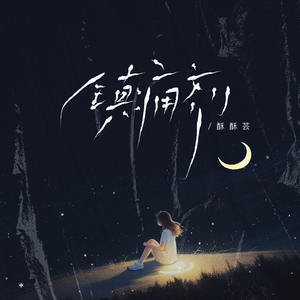 镇痛剂 (双生花版)