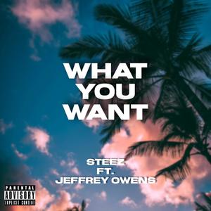 What You Want (feat. Jeffrey Owens) [Explicit]