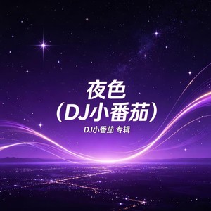 夜色 (DJ小番茄)