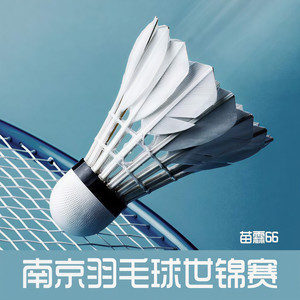 南京羽毛球世锦赛