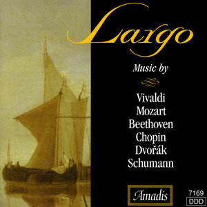 Chamber Concerto in D Major, RV 93: Concerto for lute, 2 violins and basso continuo in D Major, RV 93 - II. Largo