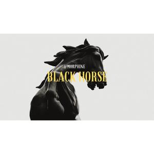 Black Horse (feat. L'Morphine) (Feat) (Explicit)