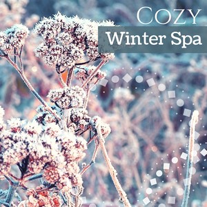 Cozy Winter Spa - 30 Songs with Nature Ambient Background for Quiet Moments