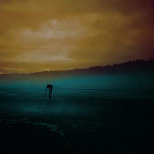 Until Dawn