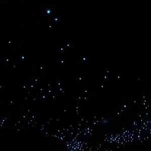 suicidal thoughts (Explicit)