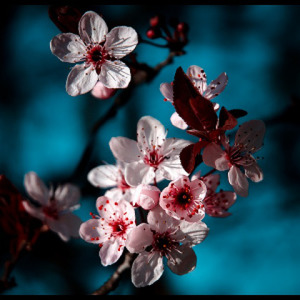 One Life ft. Poetic & Esthero