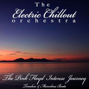 The Pink Floyd Intense Journey