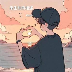 来生别再相遇-杨晓龙