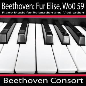 Fur Elise, Woo 59