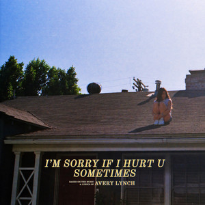 i’m sorry if i hurt u sometimes