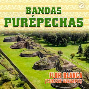 Flor Blanca(Tziktzik Huarapit)