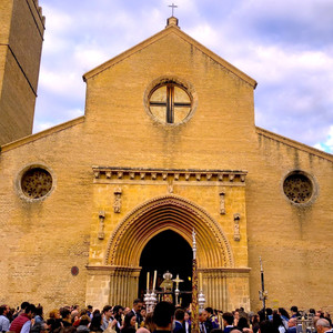 El lagarto esta llorando