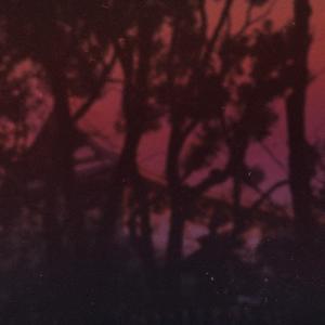 thorns (feat. xona)