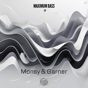 Maximum Bass