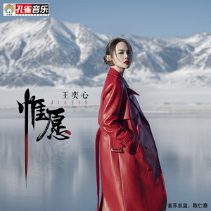 惟愿封面