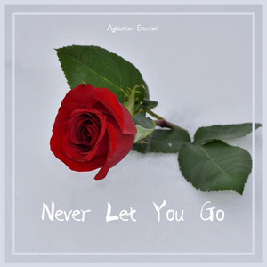 Never let you go