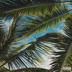 No Way (feat. Don Flare & Hurri Harán) (Explicit)