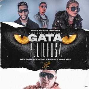 Gata Peligrosa (Radio Edit) [Explicit]