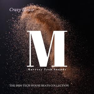Tech Maniac (Original Mix|Indie Tech Disco House)
