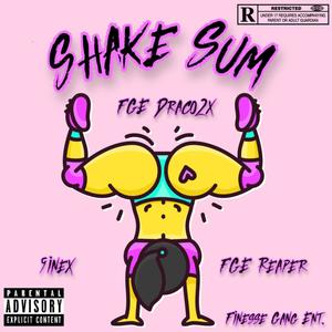 Shake Sum (feat. FGE Reaper & 9inex) [Explicit]