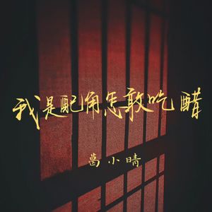 我是配角怎敢吃醋 (伴奏)