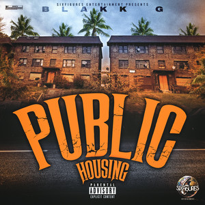 Public Housing (Explicit)